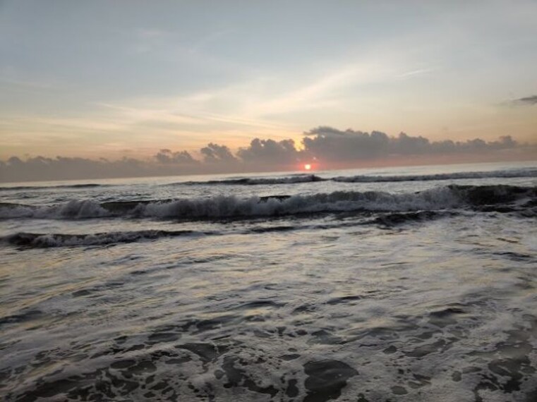 The Adyar Neighbourhood_4